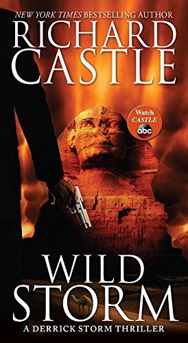 Wild Storm: A Derrick Storm Thriller by Richard Castle