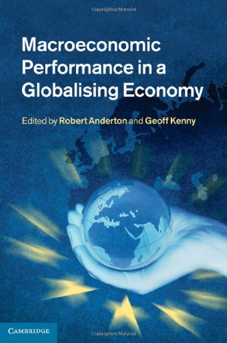 Macroeconomic Performance in a Globalising Economy by Robert Anderton