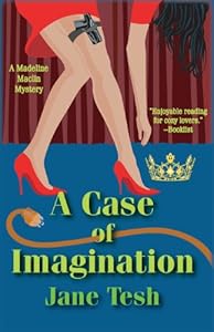 A Case of Imagination: A Madeleine Maclin Mystery