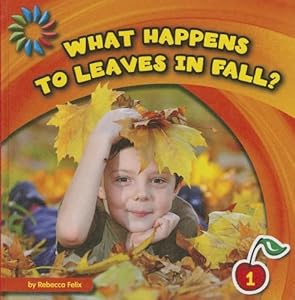 What Happens to Leaves in Fall?