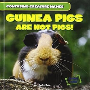 Guinea Pigs Are Not Pigs! by Evelyn Ryan