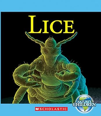 Lice
