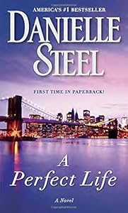 A Perfect Life: A Novel