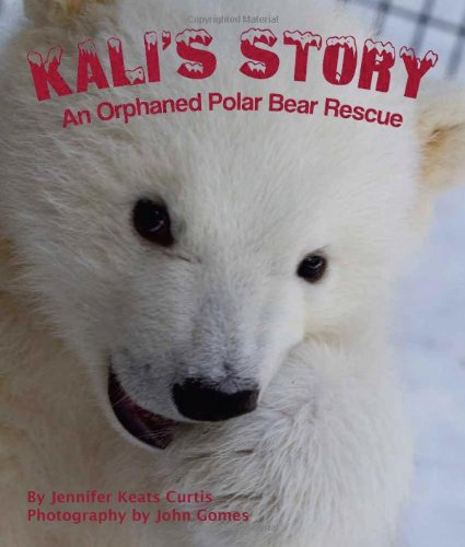 Kali's Story: An Orphaned Polar Bear Rescue by Jennifer Keats Curtis