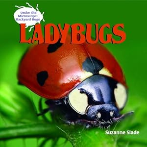 Ladybugs (Under the Microscope: Backyard Bugs)