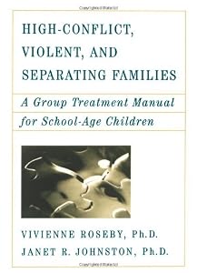 High Conflict Violent and Separating Families by Vivienne Roseby