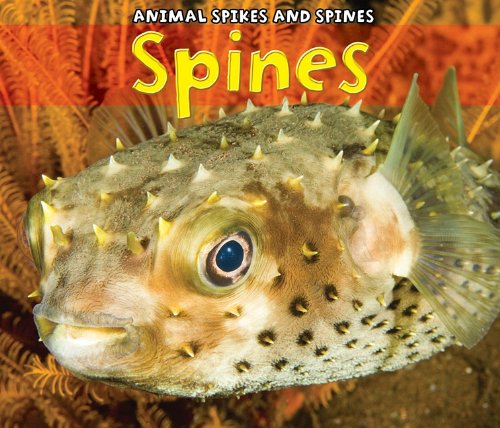 Spines by Rebecca Rissman