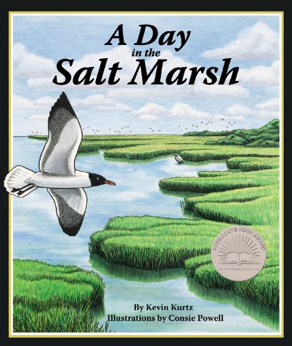 Day in the Salt Marsh, A by Kevin Kurtz