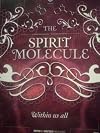 DMT: The Spirit Molecule DVD (NTSC)