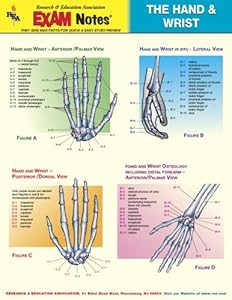 Hand & Wrist Anatomy EXAM Notes (EXAM Notes Reference Charts)