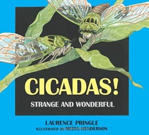 Cicadas!: Strange and Wonderful