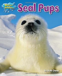 Seal Pups (Water Babies)