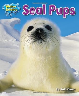 Seal Pups (Water Babies)