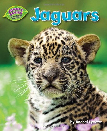 Jaguars by Rachel Lynette