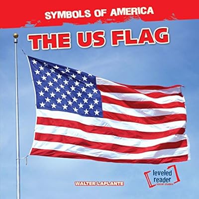 The US Flag
