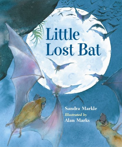 Little Lost Bat by Sandra Markle