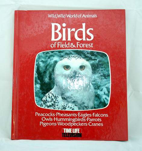 Birds of Field and Forest (Wild, wild world of animals) by Peter Wood
