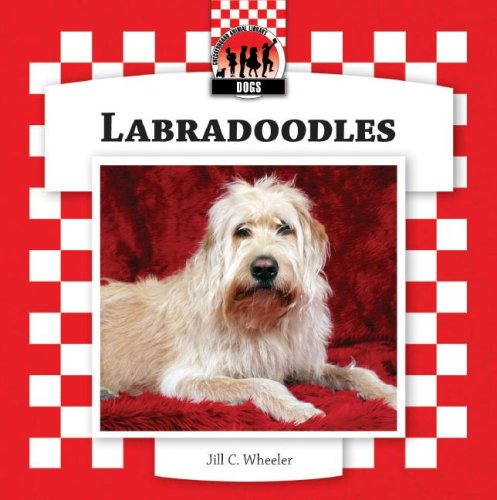 Labradoodles (Checkerboard Animal Library: Dogs) by Jill C. Wheeler