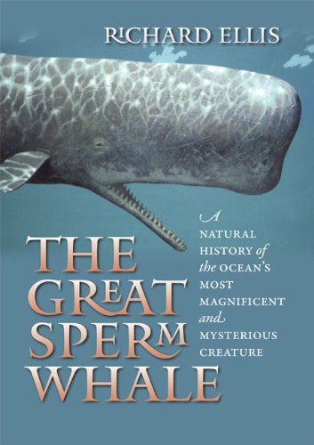 The Great Sperm Whale: A Natural History of the Ocean's Most Magnificent and Mysterious Creature by Richard Ellis
