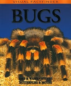 Visual Factfinder:Bugs