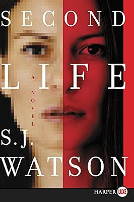 Second Life LP: A Novel