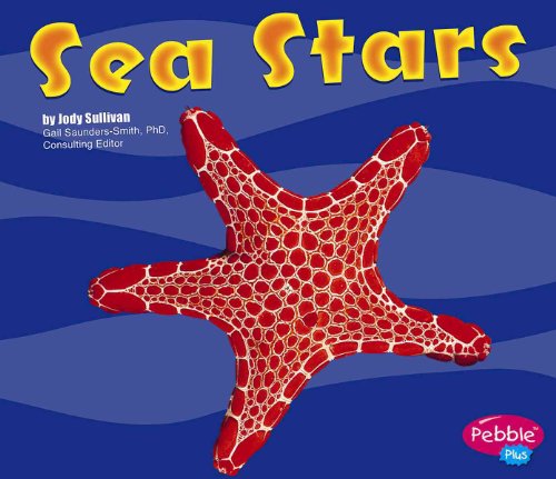 Sea Stars (Under the Sea (Capstone Library)) by Gail Saunders-Smith