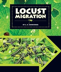Locust Migration