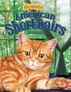 American Shorthairs: Pioneers