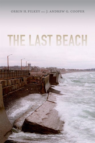 The Last Beach by J. Andrew G. Cooper