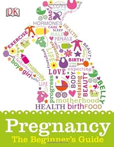Pregnancy: The Beginner's Guide