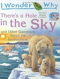 I Wonder Why There's a Hole in the Sky: and Other Questions About the Environment