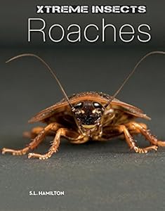 Roaches