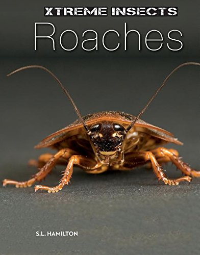Roaches by S. L. Hamilton