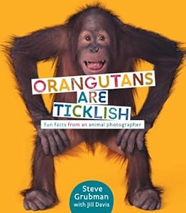 Orangutans Are Ticklish: Fun Facts from an Animal Photographer