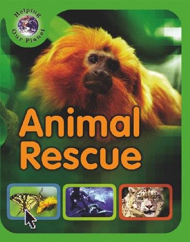 Animal Rescue by Sally Morgan