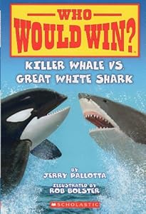 Who Would Win? Killer Whale vs. Great White Shark