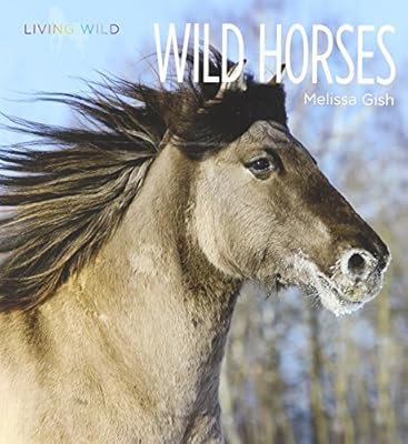Wild Horses