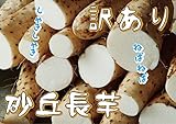 青森県産 洗いカットタイプ 屏風山 砂丘 長いも（長芋） わけあり10kg 山芋　とろろ