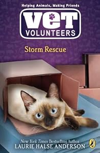 Storm Rescue #6