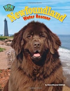 Newfoundland: Water Rescuer