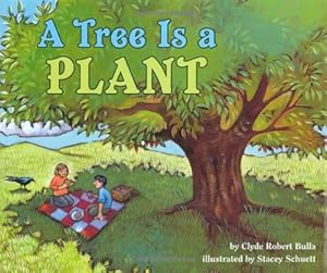 A Tree Is a Plant