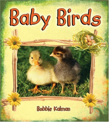 Baby Birds (It's Fun to Learn about Baby Animals) by Bobbie Kalman