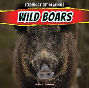Wild Boars