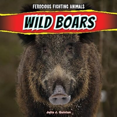 Wild Boars