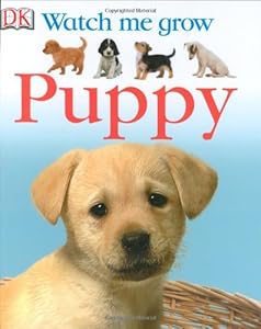 Puppy (Watch Me Grow)
