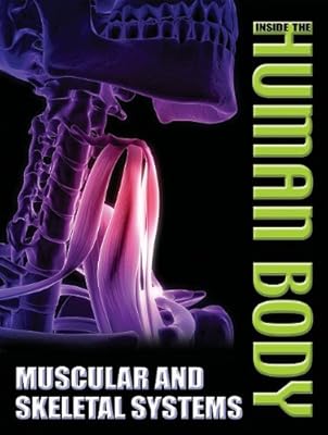 Muscular and Skeletal Systems