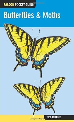 Falcon Pocket Guide: Butterflies & Moths (Falcon Pocket Guides)