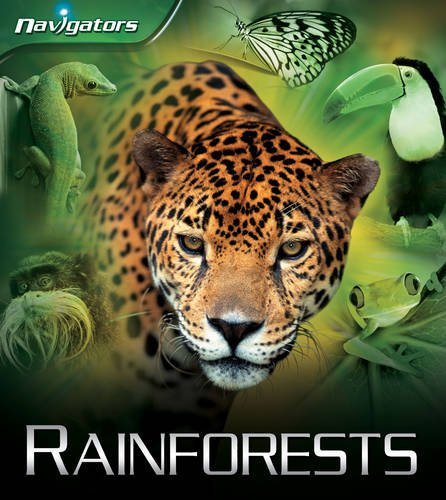 Rainforests by Andrew Langley