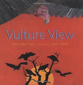 Vulture View