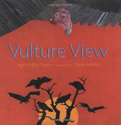 Vulture View